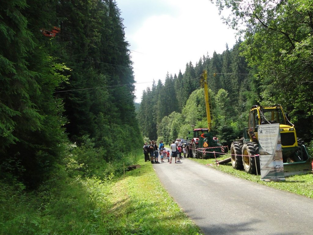 Den stromu v lesnickém skanzeně