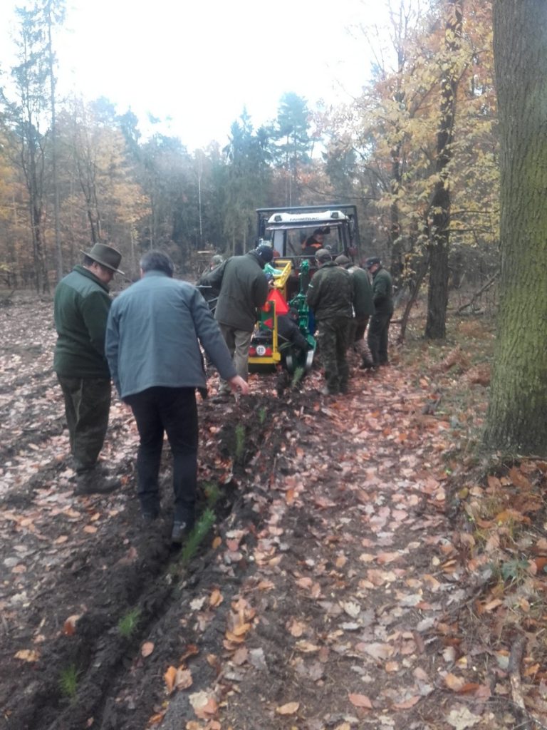 Mechanizovaná výsadba