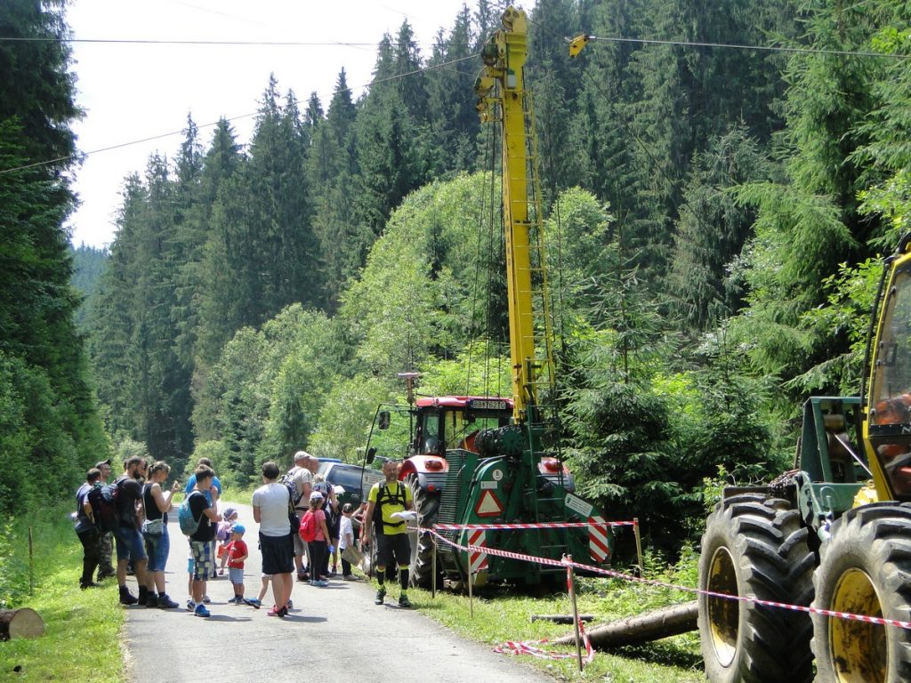 Den stromu v lesnickém skanzeně