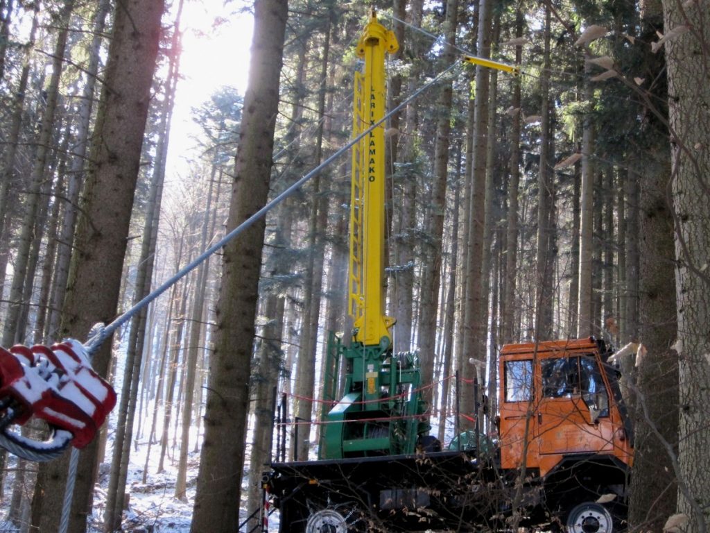 Larix Lamako