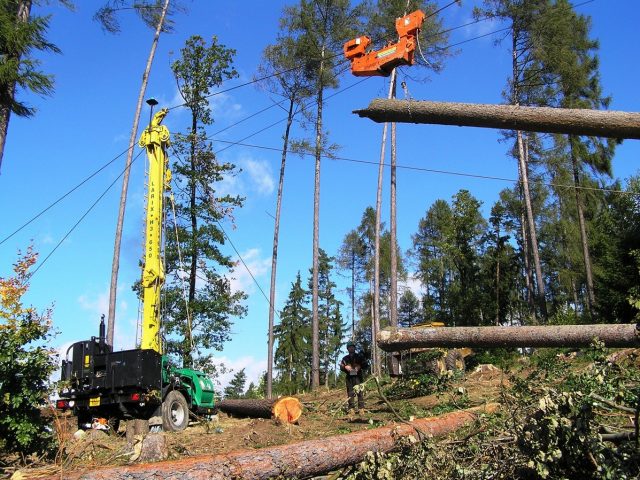 Machinery for preparing wood for transport